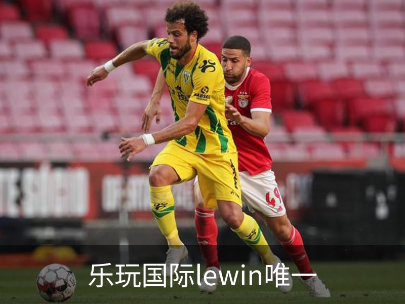 乐玩国际lewin唯一简介